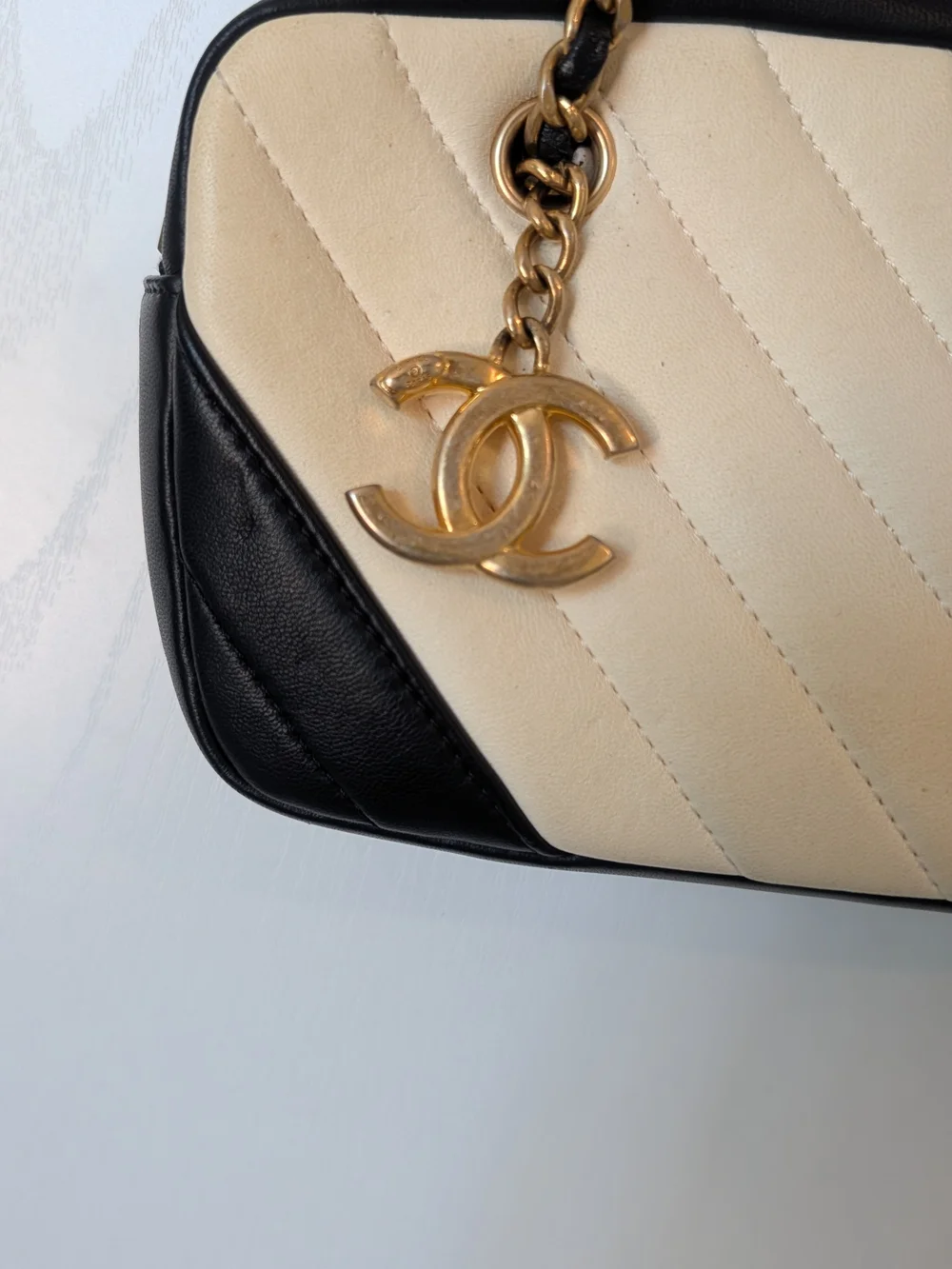 Chanel Lambskin Chevron Quilted Camera Bag In Beige And Black